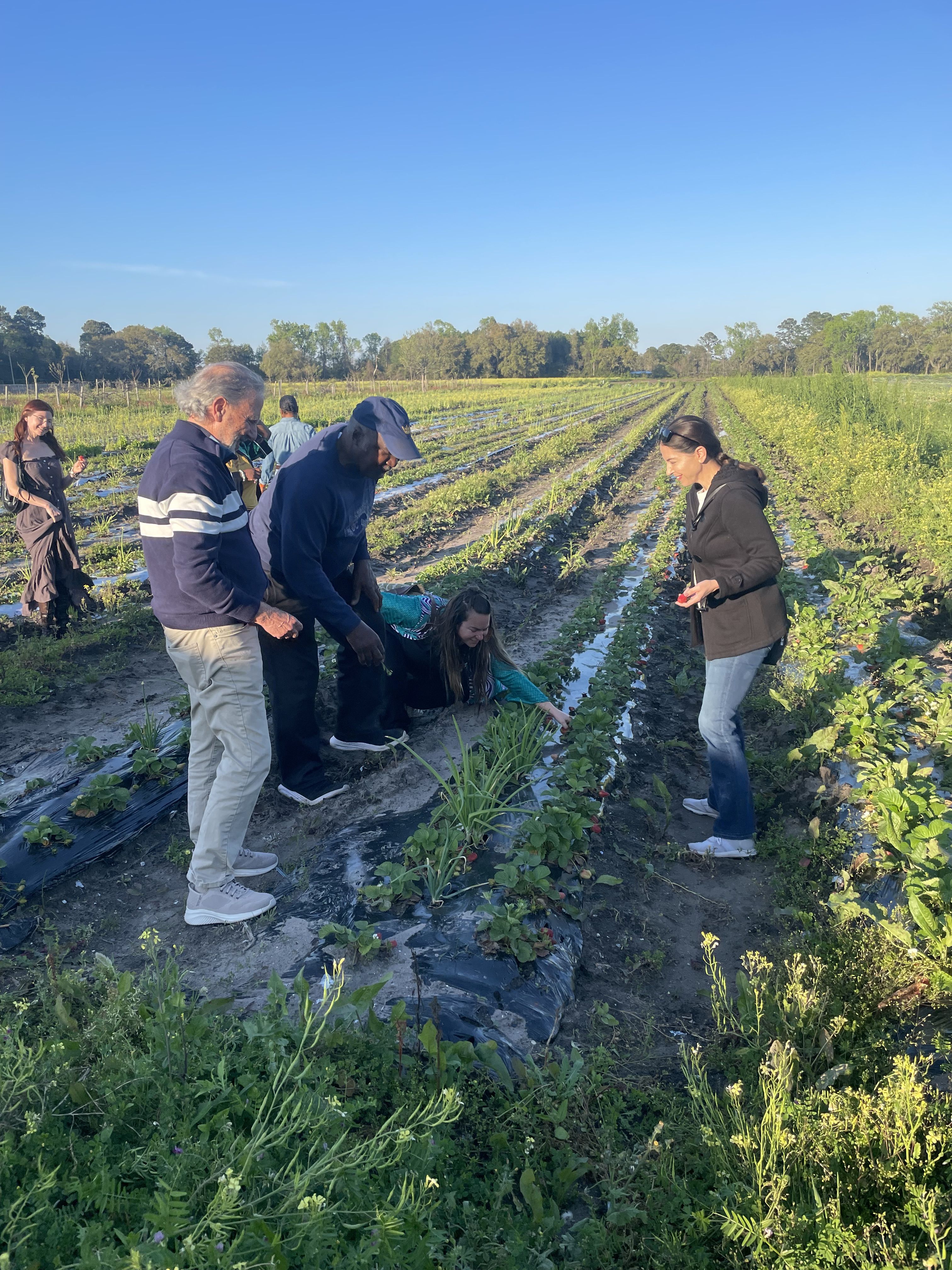 Four women stand around a farmer, in the vegetable fields at his family farm. The sun is shining and rows of crops line the ground.